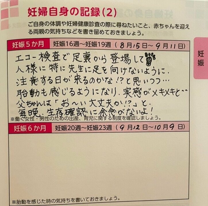 だいたひかる、母子手帳の中身を公開「人生で一番緊張した気が」