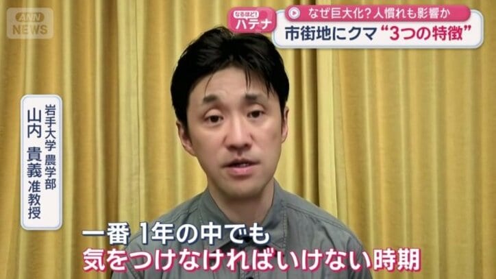 岩手大学　山内貴義准教授