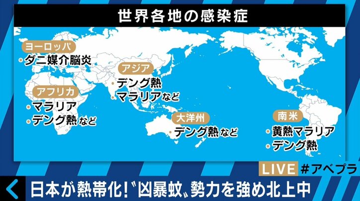 ヒアリだけではない!クモ・蚊にも注意 温暖化で高まる“外来昆虫”のリスク