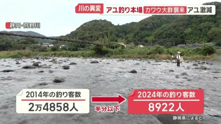 この10年で釣り人は半分以下に減少