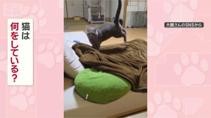 なぜステップするの？