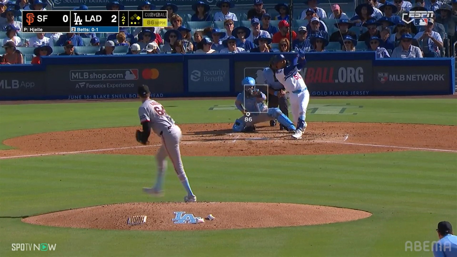 【写真・画像】　2枚目