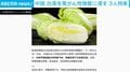 中国 白菜を発がん性物質に浸す 3人拘束