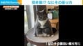 正座？体育座り？ 猫の不思議な座り方に飼い主も思わず笑う「なにその面白い座り方！」