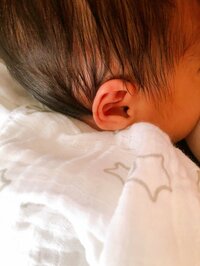 平野ノラ『吸盤のように』