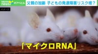 【映像】研究グループが提案する“精子のアンチエイジング”とは?
