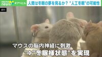 【映像】老化を抑えることも?“人工冬眠”の可能性