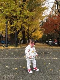 チャンカワイ　娘が東大を散策、イチョウ並木をレポートした写真多数公開「癒されてます」