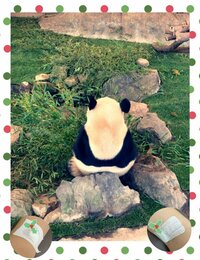 古村比呂『CT検査DAY』