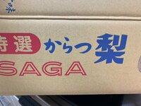 ニッチェ 近藤くみこ『とんでもない梨届きましたー！！！』