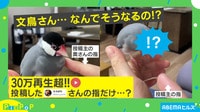 なんで!?文鳥さんがツンとデレを披露