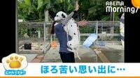【映像】飼い主にしがみついて離れない犬