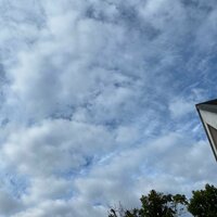 堀ちえみ『日曜日！しちりん日和とはいかないかな』