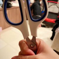 石田あゆみ『大捜索。』