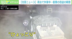運転席に侵入した“ひょっこり男”財布を盗んで逃走 被害男性はトラックの荷台で作業中