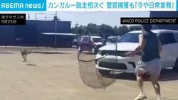 警察官が網を手に猛ダッシュ！まさかの標的に「最初はありえないと言っていたが…」 “脱走事件”が日常業務に 米