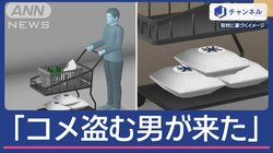 「いつもコメ盗む男が来た」チンゲンサイで偽装？男を逮捕