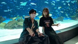 下野紘＆内田真礼が夜の水族館へ “連れカノ”コラボ企画できゅんきゅんチャレンジに挑戦『声優と夜あそび』