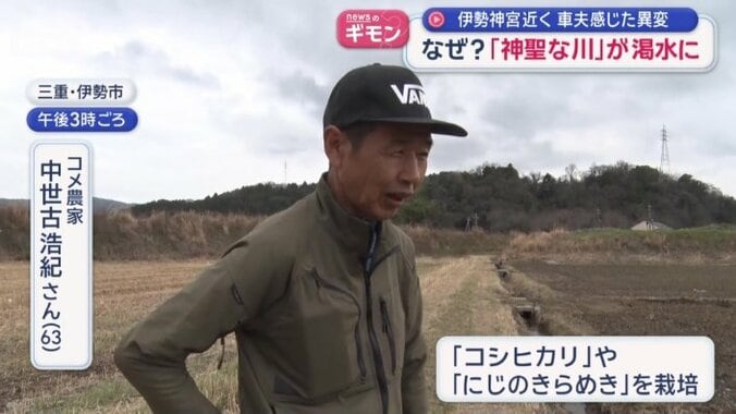 コメ農家の中世古さん