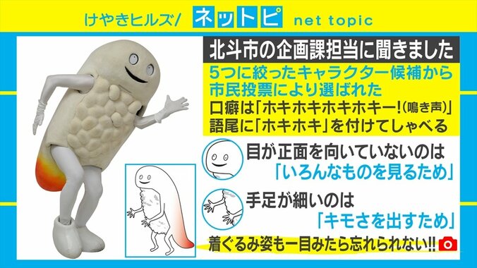 キモいと話題の「ずーしーほっきー」が“一目見たら忘れられないご当地キャラ”1位に 4枚目