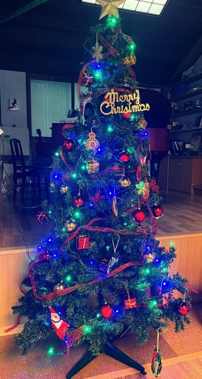  高橋真麻、娘や夫と飾りつけしたクリスマスツリーを公開「綺麗」「ワクワクしますよね」の声  1枚目