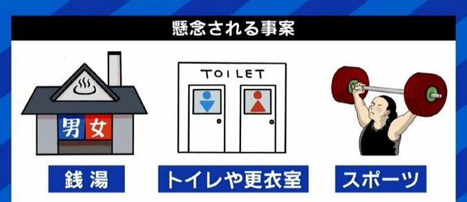 自民党の埼玉県議団が提案の「性の多様性に係る理解増進に関する条例案」に八木秀次氏「拙速ではないか」…「男女別学の公立高はどうするのか」との指摘も 8枚目