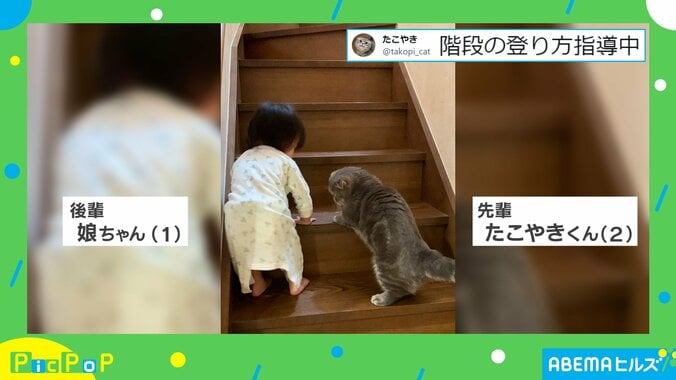 指導役はまさかの猫!? 1歳娘と階段を登ろうする“キュート”な姿に「頼りになりますね～」「可愛い先生」とほっこり 1枚目