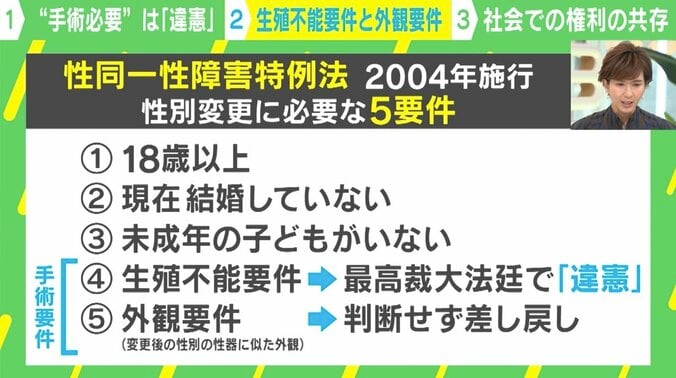 性別変更に“手術必要”は「違憲」の判断　残された「外観要件」の壁と社会における権利のぶつかり合いに解決の道は 1枚目