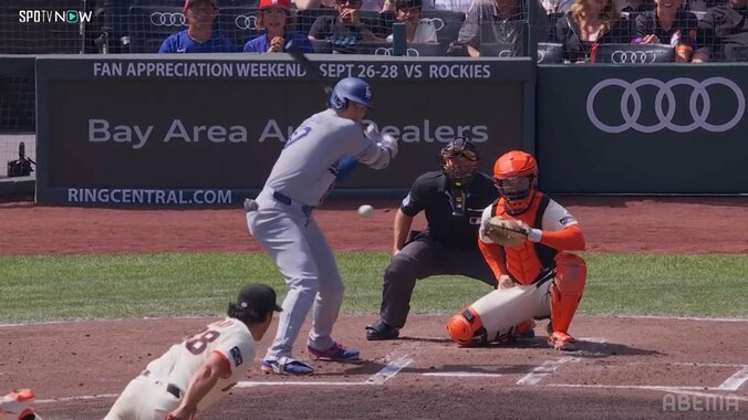 【写真・画像】　1枚目