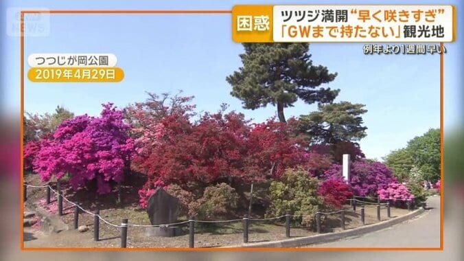 つつじが岡公園（2019年4月29日）