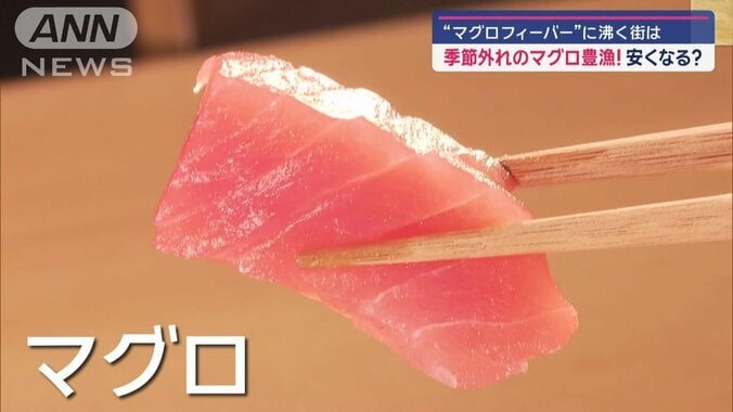 マグロの刺し身