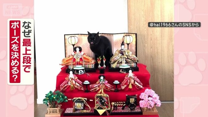 なぜ最上段でポーズ決める？