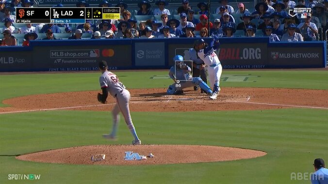 【写真・画像】　2枚目