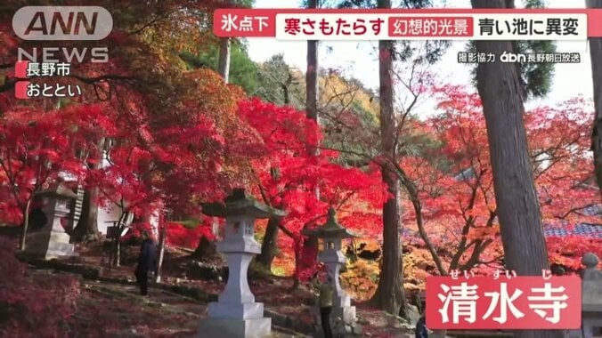 長野市の清水寺（せいすいじ）の紅葉