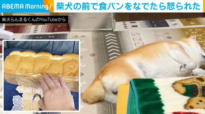食パンにのようなフォルムのらんまるくん