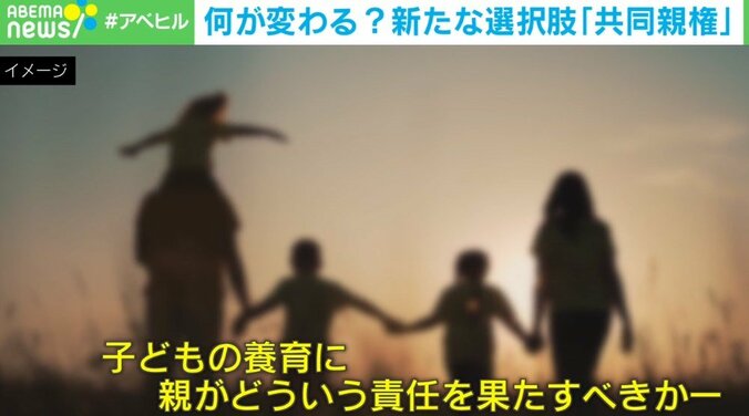 「相手と関わりたくない」反対の声も…離婚後の「共同親権」導入加速 虐待やDVのリスクは？ 専門家に聞く 1枚目