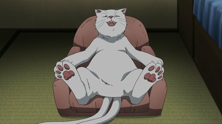 アニメ『真夜中のオカルト公務員』第8話あらすじ＆先行カット公開　姉が17歳のまま戻ってきて…？