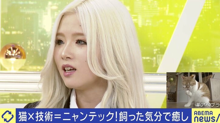 SNS最強コンテンツ“猫”「安易な気持ちで飼わないで」ご飯やトイレ、病院代…人気の裏に“飼育放棄”の現実も