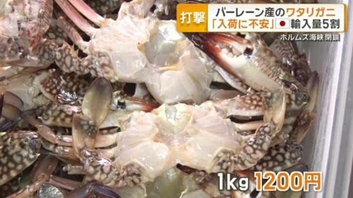 今は1キロ1200円で仕入れ