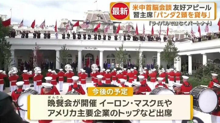 今後の予定は