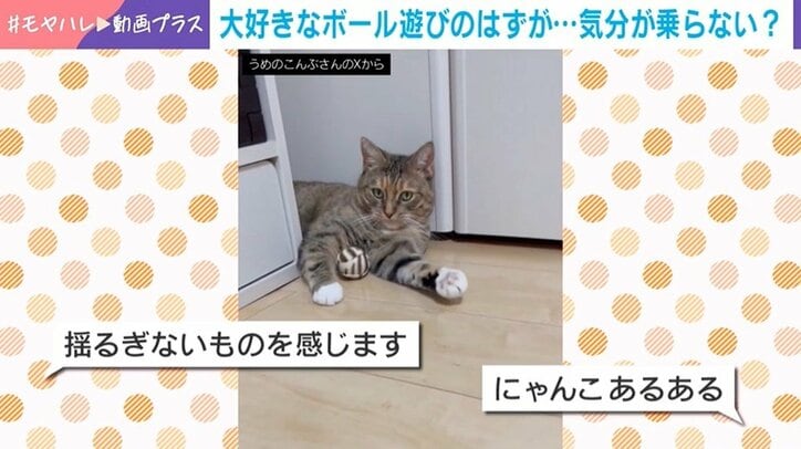 全く乗り気でない様子