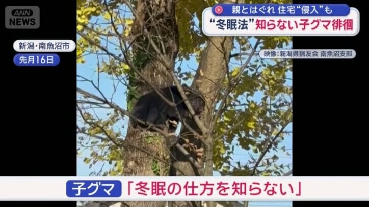 専門家が警鐘