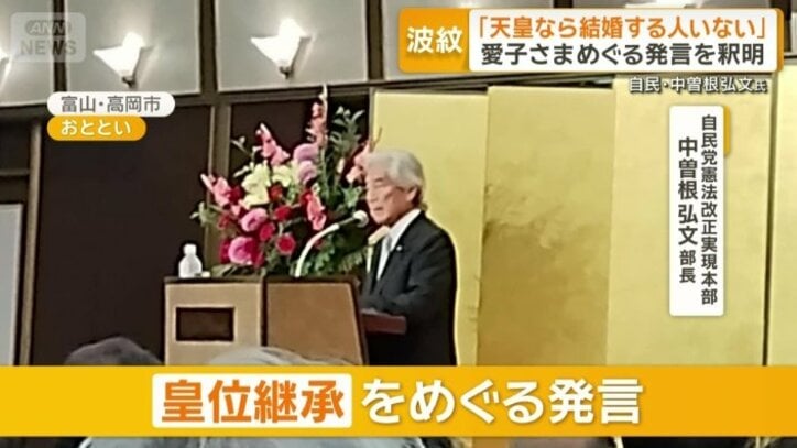 自民党憲法改正実現本部　中曽根弘文部長