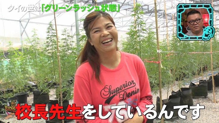 大麻ビジネスで収入アップするも「薬物中毒者が増えた」の声も… 大麻合法化したタイの“光と闇”