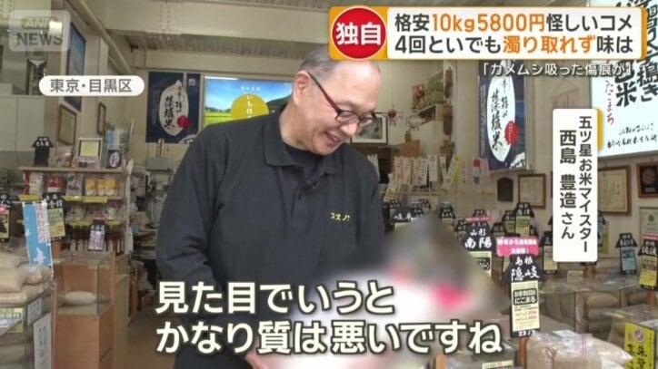 プロに見てもらうと…