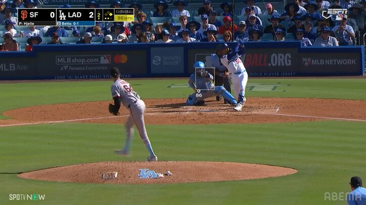 【写真・画像】　2枚目