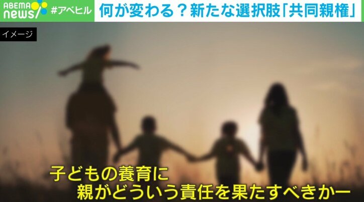 「相手と関わりたくない」反対の声も…離婚後の「共同親権」導入加速 虐待やDVのリスクは？ 専門家に聞く