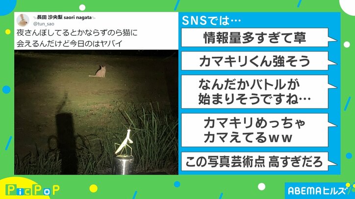 夜の公園に現れた野生動物たち 某ゲームを彷彿させる構図に「なんだかバトルが始まりそう」「芸術点高すぎ」と反響