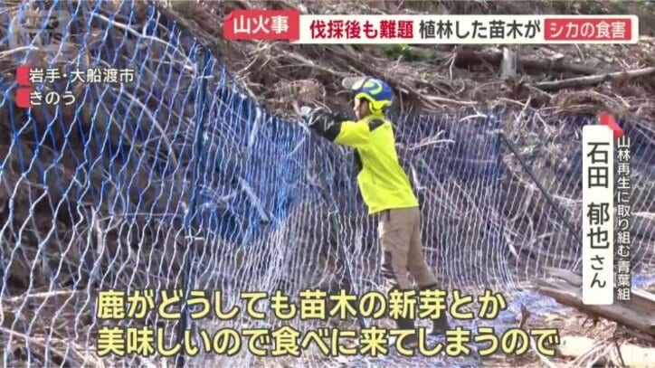 鹿よけのネットを設置