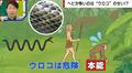 ヘビが怖いのは“人間の本能”？「ウロコが恐怖の原因」「本能を身につけ生存競争を勝ち抜いた」
